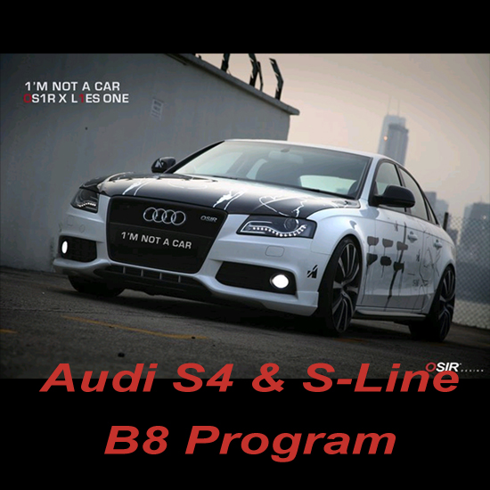 Audi S4 & S-Line B8 Program